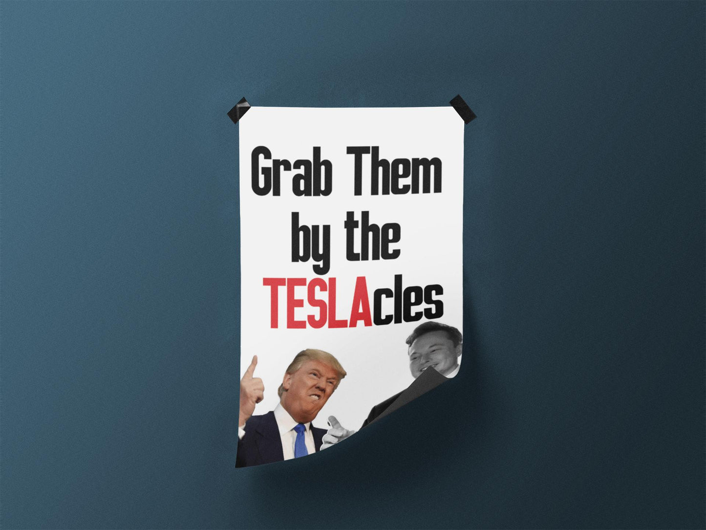 Grab Them By The Teslacles, Foam Board Protest Sign, Anti-Trump Resistance, Anti-Elon, Political Activist Poster, Protest Poster