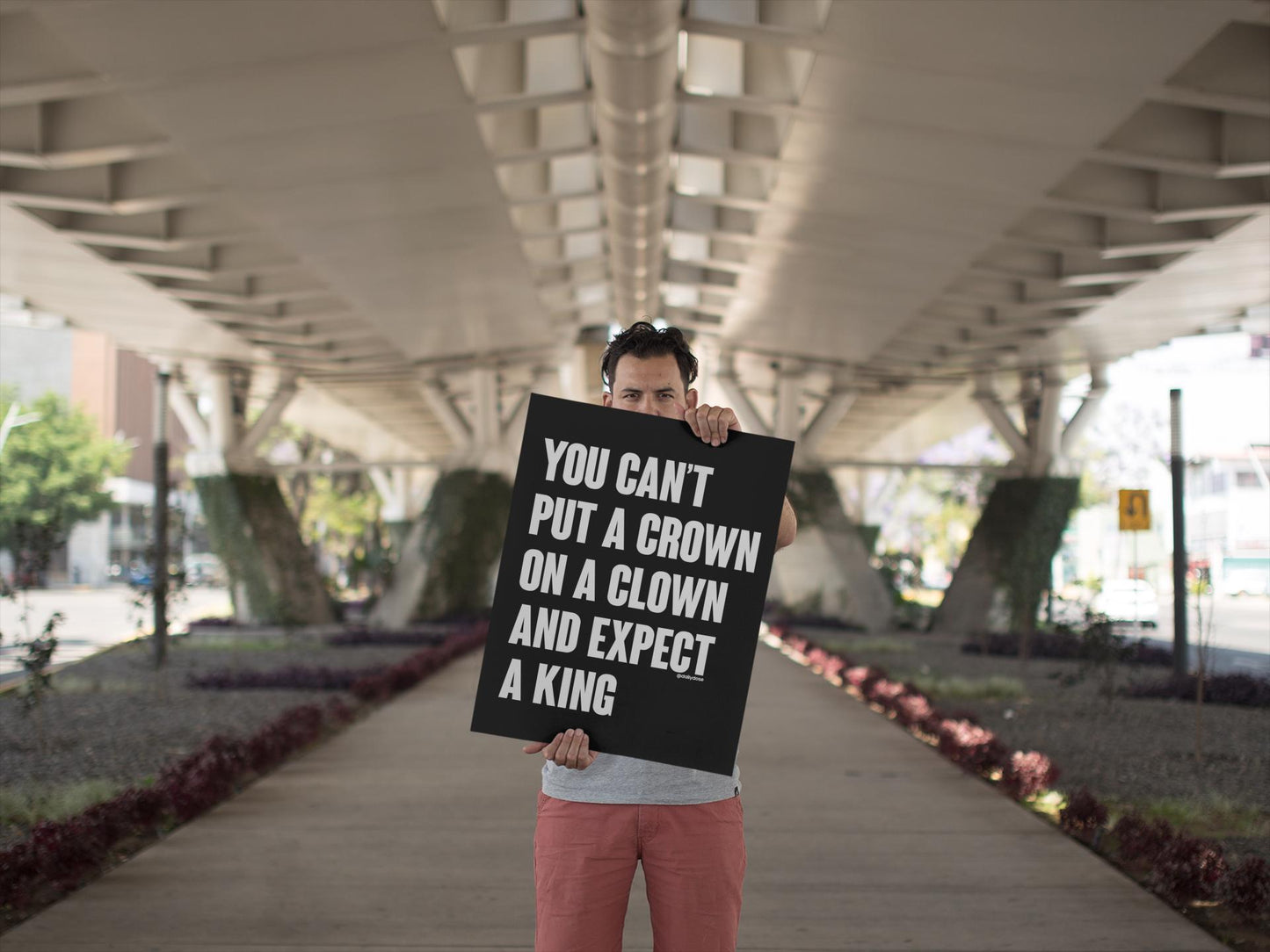 You Can't Put a Crown on a Clown and Expect a King Foam Board or DIY Poster, Protest Sign, Anti Trump, Political Poster, Protest Poster