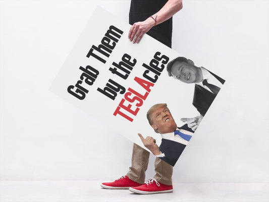 Grab Them By The Teslacles, Foam Board Protest Sign, Anti-Trump Resistance, Anti-Elon, Political Activist Poster, Protest Poster