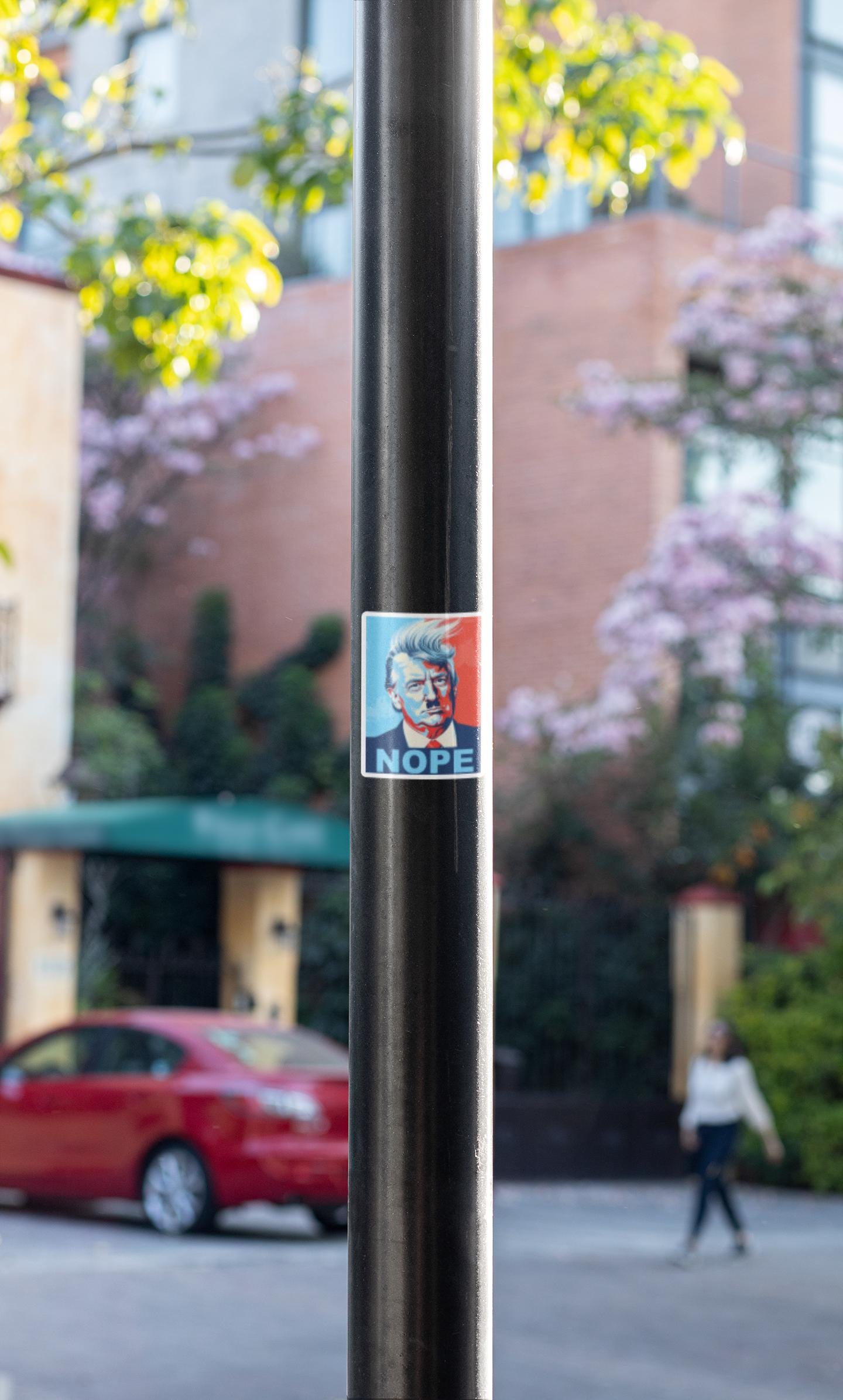Pack of 5 Anti Trump Sticker, Nope To Fascism, Political Activist vinyl sticker, funny sticker