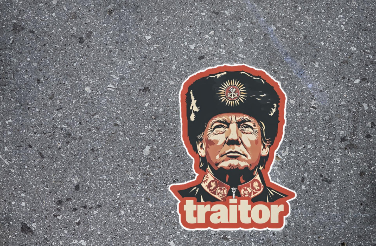 Pack of 5 Traitor Trump, Anti Trump Sticker, No To Fascism, Political Activist vinyl sticker, funny sticker