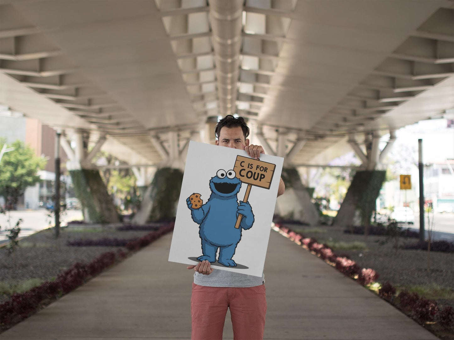 PBS, Cookie Monster C is for Coup Foam Board Protest Sign, Anti-Trump Resistance, Resist, Political Activist Poster, Protest Poster