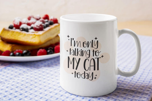 I'm Only Talking to My Cat Today Ceramic Mug 11oz