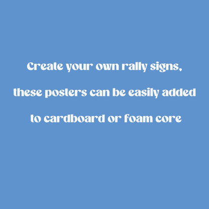 Defend The Constitution Foam Board or DIY Poster