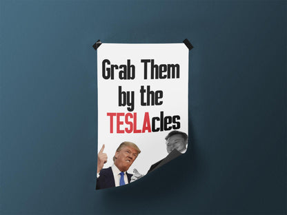 Grab Them By The Teslacles, Foam Board Protest Sign, Anti-Trump Resistance, Anti-Elon, Political Activist Poster, Protest Poster