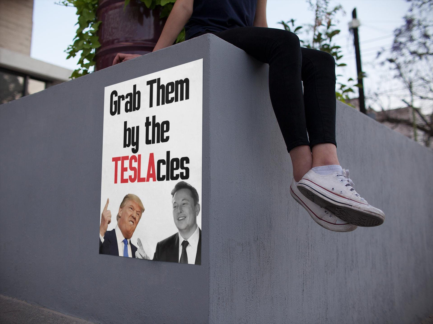 Grab Them By The Teslacles, Foam Board Protest Sign, Anti-Trump Resistance, Anti-Elon, Political Activist Poster, Protest Poster