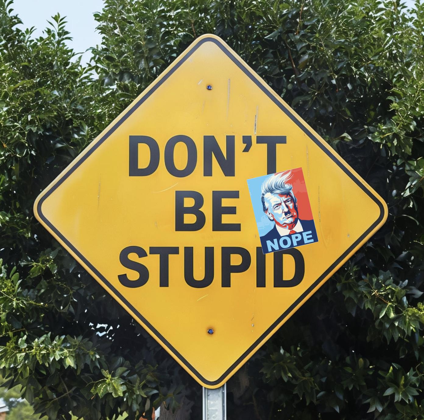 Pack of 5 Anti Trump Sticker, Nope To Fascism, Political Activist vinyl sticker, funny sticker