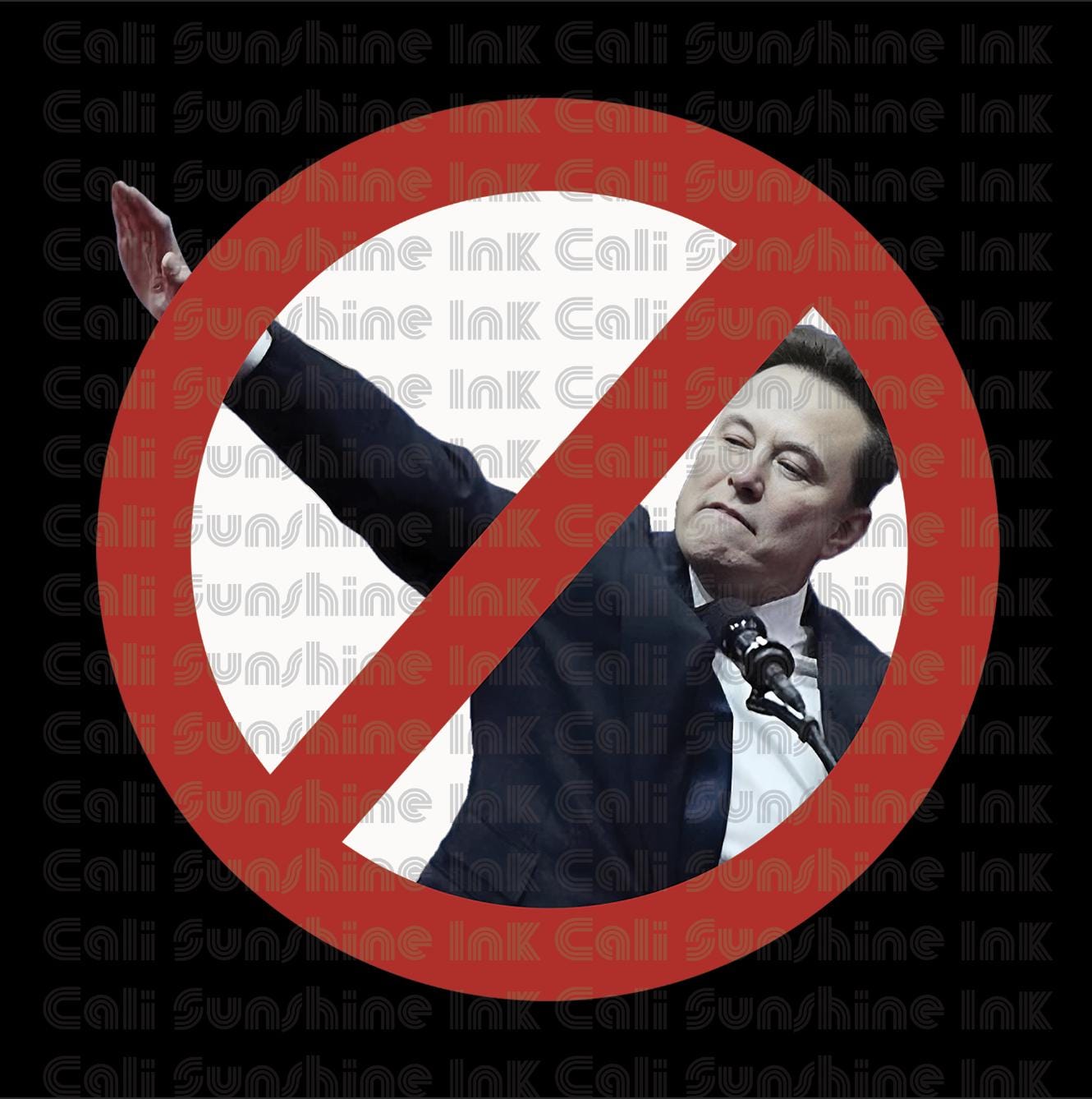 Anti Elon Stiff-Arm Salute, Protest Sign, Big Face on a Stick, Big Face Cut Out, Head on a stick.  - 4 sizes